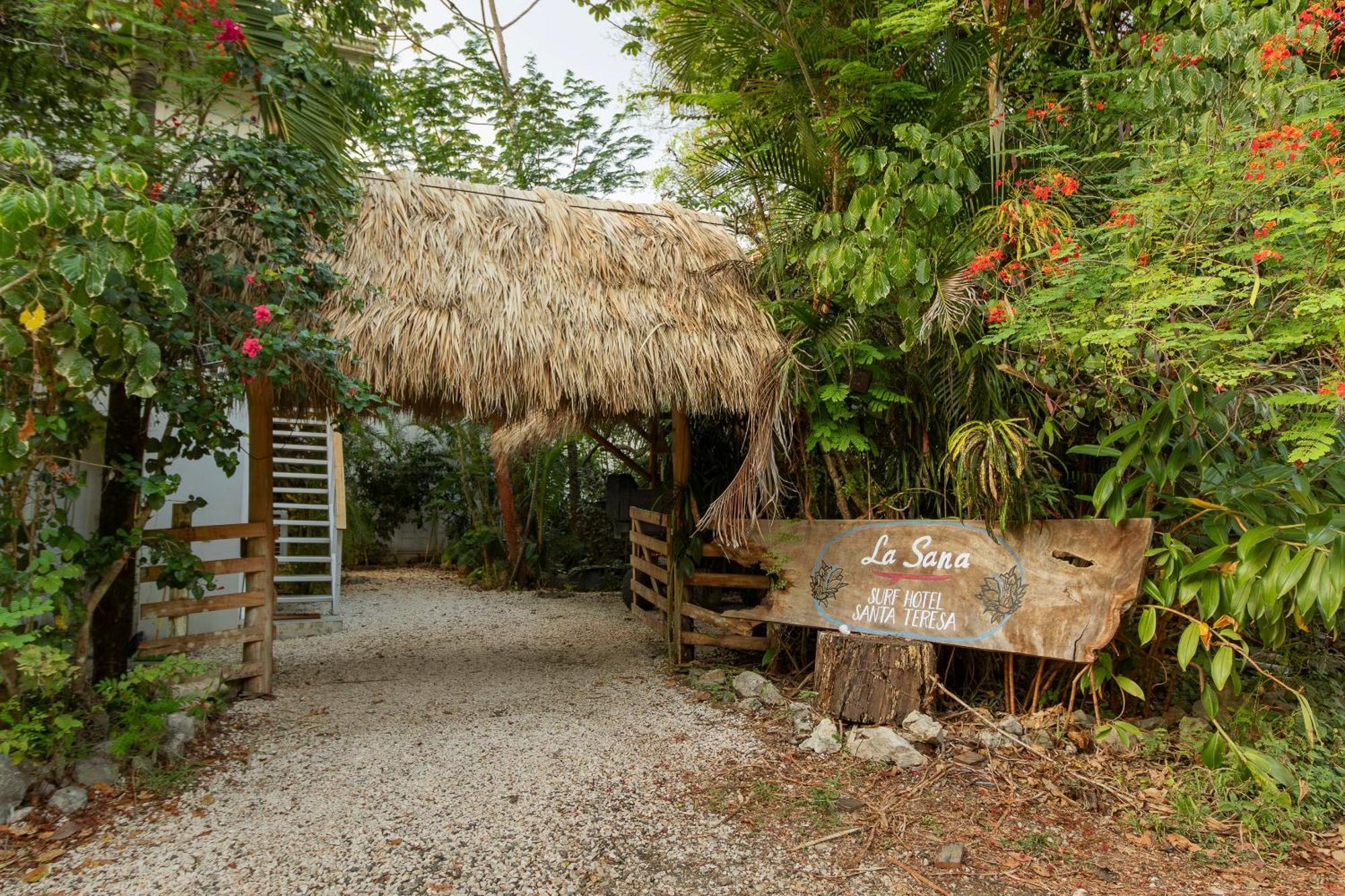 La Sana Surf Hotel, New Management, Few Mn Drive To The Beach Playa Santa Teresa  Екстер'єр фото